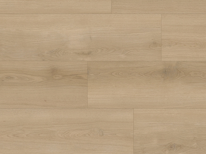 202502253481.png image.png