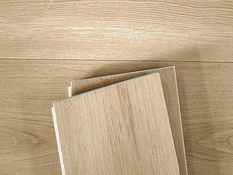 202502258158.png image.png